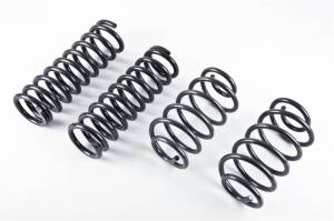 5818 | GM Muscle Car Spring Set - 1.0 F / 1.0 R