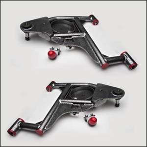 CA2391L-4 | DJM Suspension 4 Inch Lower Control Arms (1994-1999 Ram 1500 Pickup 2WD)