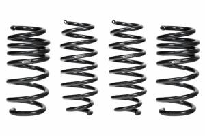 E10-87-001-01-22 | PRO-KIT Performance Springs (Set of 4 Springs)