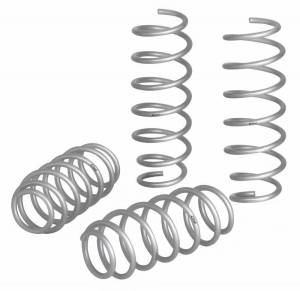 E30-28-016-01-22 | PRO-LIFT-KIT Springs (Front & Rear Springs)