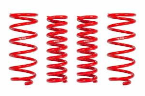 E30-82-071-03-22 | PRO-LIFT-KIT Springs (Front & Rear Springs)