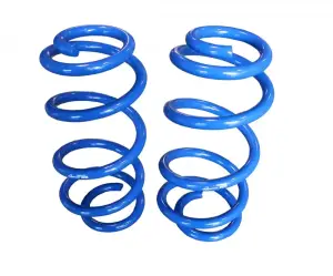 1030 | Front 1 Inch Lift Coils (2013-2022 Transit 2WD/4WD)