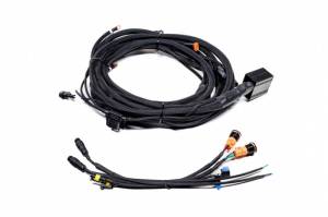 Morimoto - BAF133H | Morimoto Switched Power Harness For BigBanger Bar | Up To 7 Outputs - Image 1