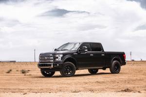 220-P1181 | Cognito 2.5-inch Performance Leveling Kit with Elka 2.0 IFP shocks (2015-2020 Ford F150 4WD)