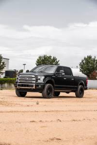 Cognito Motorsports - 120-91059 | Cognito 2.5-Inch Standard Leveling Kit (2015-2020 Ford F150 4WD) - Image 2