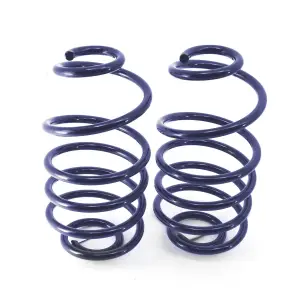 RT11244799 | RideTech Rear dual rate springs| 2 Inch lowering (1968-1972 GM A-Body)
