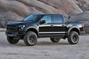 Fabtech Motorsports - FTSK2263 | Fabtech 4 Inch System (2017-2020 Ford Raptor) - Image 2