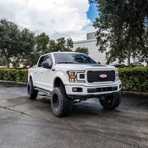 Recon Truck Accessories - REC264390BKCS | Recon Projector Headlights OLED DRL, LED Turn Signals Smoked/Black (2018-2020 F150 Replaces OEM LED Style Head Lights Only) - Image 4