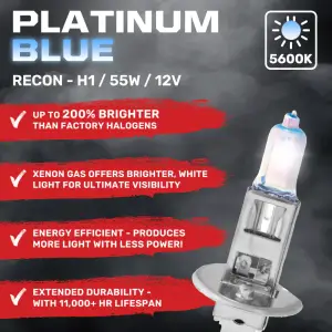 Recon Truck Accessories - 264H1PB | Recon H1 12V 55W Xenon Gas Filled Headlight Bulbs in Platinum Blue - 5600K Color - Image 2