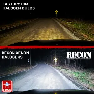 Recon Truck Accessories - 264H1PB | Recon H1 12V 55W Xenon Gas Filled Headlight Bulbs in Platinum Blue - 5600K Color - Image 3