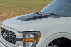 Rough Country - HS30010-A3 | Rough Country Hood Scoop For Ford F-150 (2021-2024) | Space White - Image 7