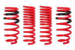 E10-27-004-01-22 | Eibach PRO-KIT Performance Springs (2015-2024 Challenger)